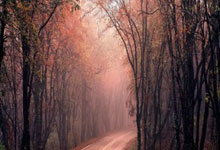 虎扑体育：2-0夺冠后！19岁天才创2纪录，ATP排名：门希克第24，小德回前5.