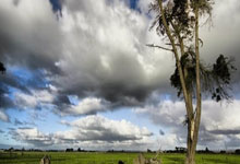 虎扑体育：CBA首个总决赛席位敲定！新疆男篮3-1浙江晋级.