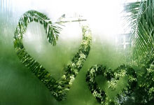 2025扬州鉴真半程马拉松暨大运河马拉松系列赛（扬州站）举行.