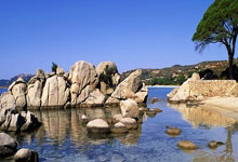 2025年长沙市青少年击剑公开赛举行.